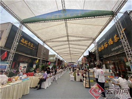 快来品茶啦！国际茶日云南系列活动在昆明启动，服饰文化添彩茶香